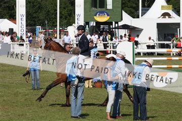 130444_bc_07_IMG_1771.JPG