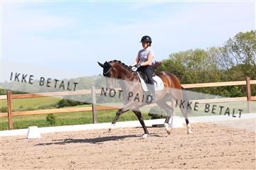 181449_bc_01R62_5995.JPG