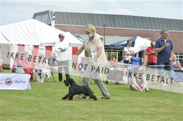 168981_bkn_01__MHR0305.JPG