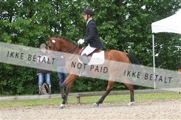 135518_ms_01_IMG_1510.JPG