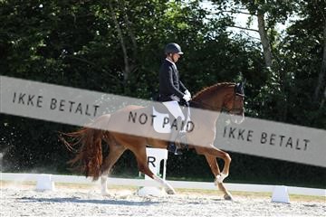 172073_mtp_01_3M5A4640.JPG