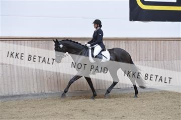 160111_nn_01__ESK1407.JPG