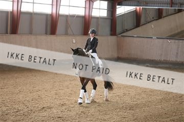 173782_mtp_01_3M5A6931.JPG