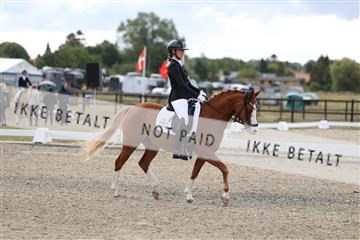 181894_mtp_01_R62_0443.JPG
