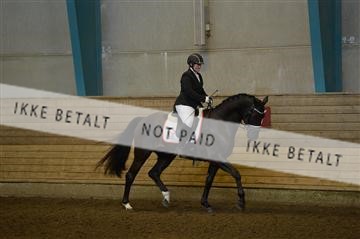 144288_abo_01__AB21793.JPG