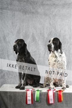 129608_le_ 02_0172.JPG