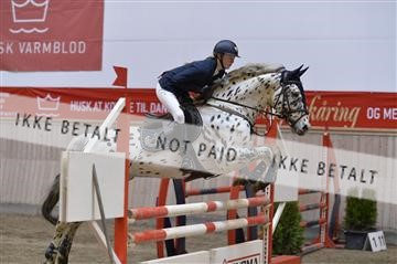 150799_sk_01__SK15960.JPG
