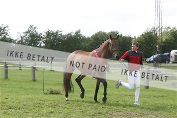 135518_ms_02_IMG_3047.JPG