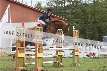 5925_ma_05_IMG_0767.JPG