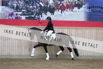 181887_mtp_02_R62_7367.JPG