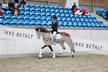 181887_mtp_04_R62_8740.JPG