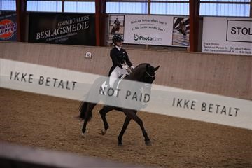 173782_mtp_01_3M5A8193.JPG