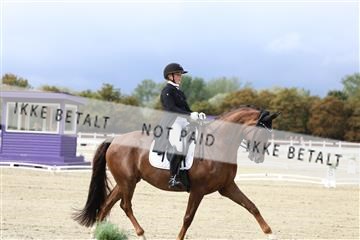 181923_mtp_03_R62_7290.JPG