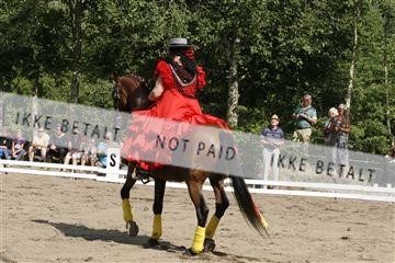 5925_gn_02__MG_7977.JPG