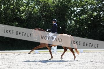 172073_mtp_01_3M5A4473.JPG