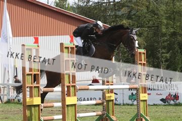 5925_ma_05_IMG_0921.JPG