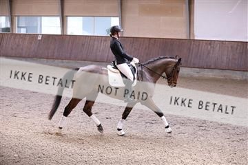 173821_mtp_01_3M5A8598.JPG