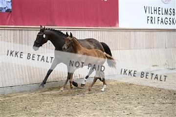 181754_kbb_01_Z094011.JPG