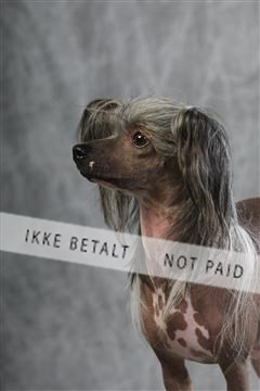 129608_le_ 01_0778.JPG