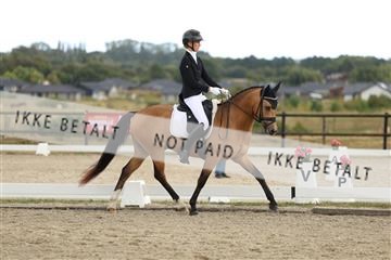 181894_mtp_03_R62_2586.JPG