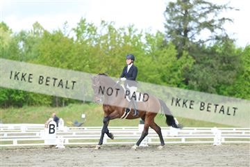 174661_kbb_01_R6II6561.JPG