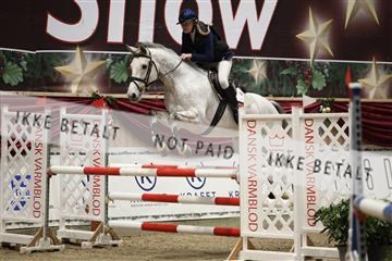 175934_avh_01_5739.JPG
