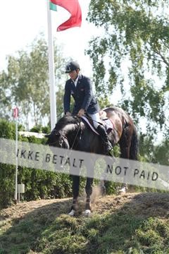 125257_abo_13_IMG_1364.JPG