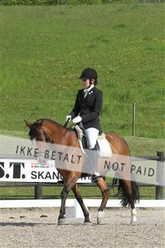 135086_sg_01_IMG_1622.JPG