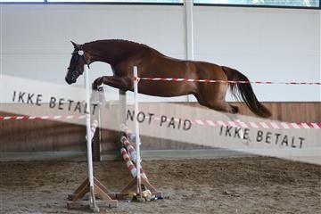 181804_mlm_01_R62_8546.JPG