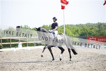181449_kbb_02_6II1361.JPG