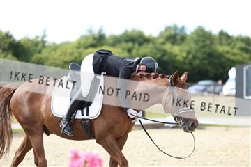 181894_mtp_05_R62_4725.JPG