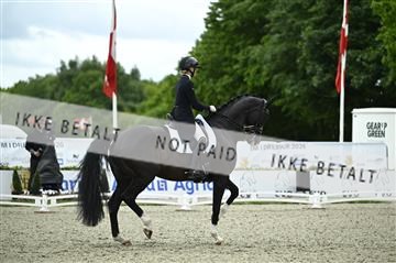 181449_kbb_03_Z090576.JPG