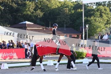 181799_BC_06_00711.JPG