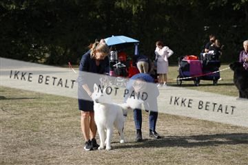 181848_kar_01__62_4658.JPG