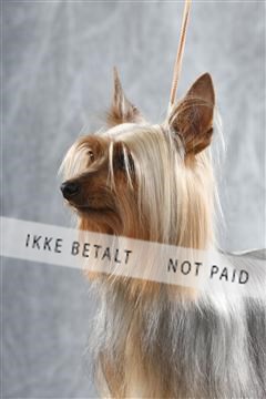 129608_le_ 02_0145.JPG