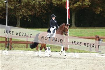 181923_mtp_03_R62_7972.JPG