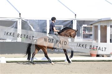179800_BC_01_00155.JPG