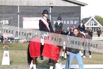 181894_mtp_05_R62_5931.JPG