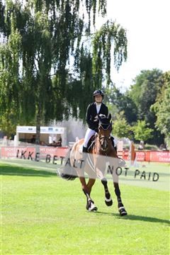 181805_mlm_02_R62_6655.JPG