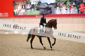 174186_kbb_01_R6II4603.JPG