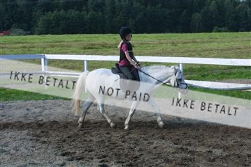 110-1028_IMG.JPG