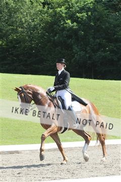 135676_sg_01_IMG_7812.JPG