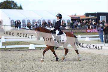 181894_mtp_05_R62_5294.JPG