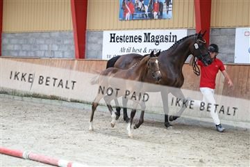 181868_mtp_03_R62_5816.JPG
