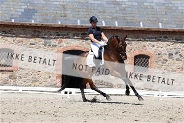 174742_bc_01_R62_2208.JPG
