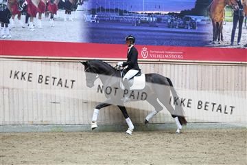 181887_mtp_04_R62_8749.JPG