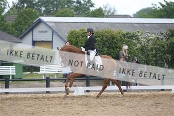 147698_nn_01_IMG_0163.JPG