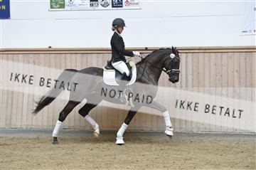 160111_nn_01__ESK1419.JPG