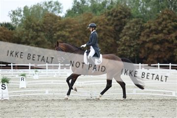 181923_mtp_01_R62_6888.JPG
