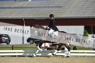 136195_abo_01__AB16494.JPG